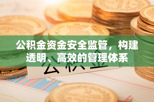 邢台公积金资金安全监管，构建透明、高效的管理体系