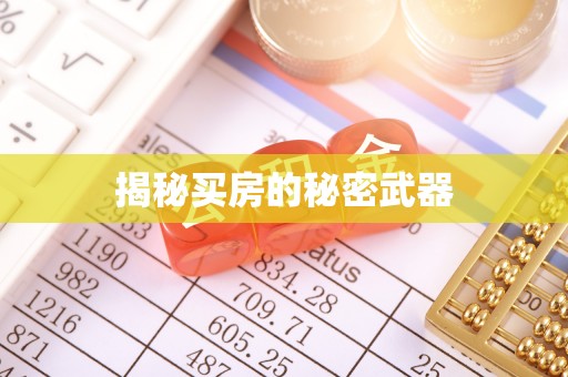 邢台揭秘买房的秘密武器