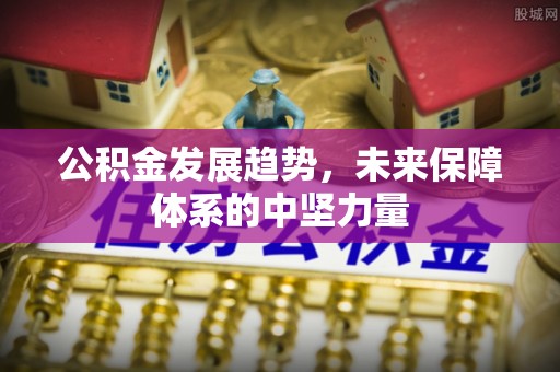 邢台公积金发展趋势，未来保障体系的中坚力量