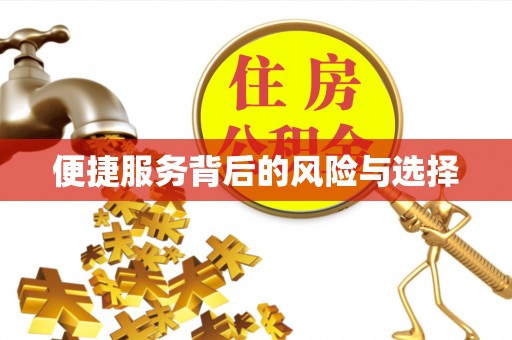 邢台便捷服务背后的风险与选择